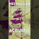 Meshuggah Acoustic Cover – Straws Pulled at Random (One-man band, Drums and Guitar simultaneously)